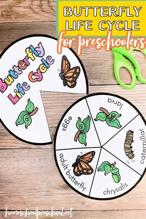 Free Printable Butterfly Life Cycle Wheel