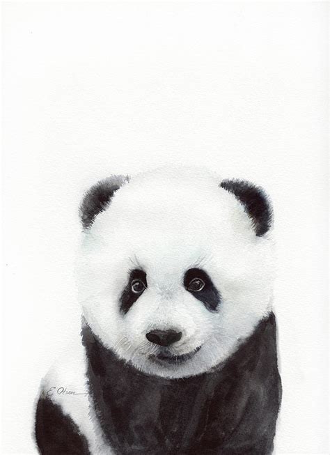 Baby Panda Portrait Painting By Emily Olson Fine Art America