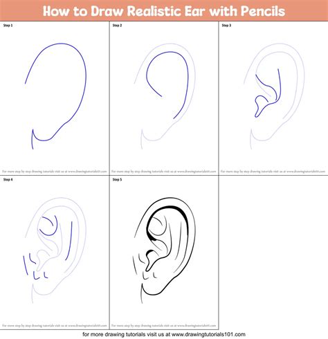 how to draw cat ears step by step see full list on download free epub