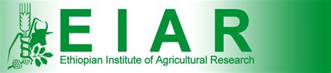 Ethiopian Institute Of Agricultural Research Eiar Deputy Director
