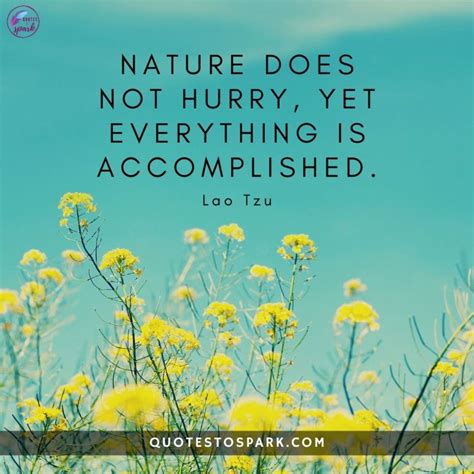 Best Nature Quotes To Understand Its Importance