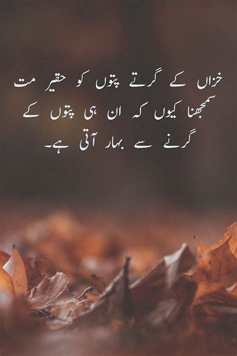 Pin by 𝓡𝓪𝔃𝓪 𝓢𝓱𝓪𝓱 on Golden Words سنہری الفاظ | Encouragement, Imran