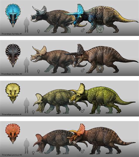 Prehistoric kingdom all animals - noredwap
