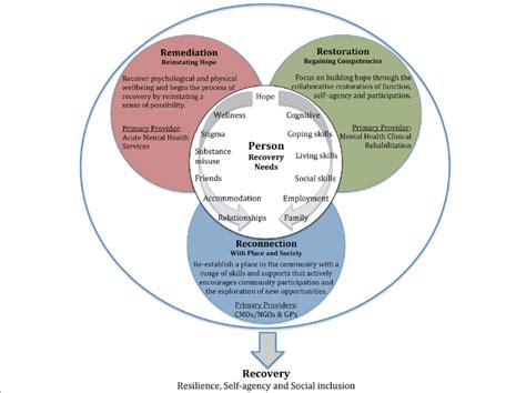 Integrated Recovery Oriented Model Irm For Mental Health Services