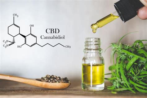 Cómo usar el aceite de CBD Beneficios y consejos