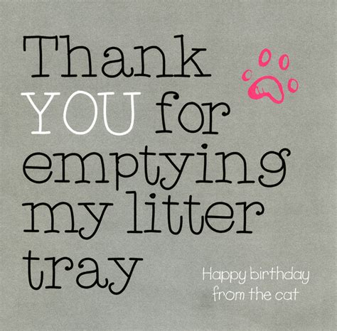 Thank You For Emptying My Litter Tray Funny Birthday Cards Funny