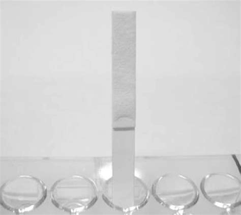Gold Colloidal Immunochromatographic Strip For The Detection Of