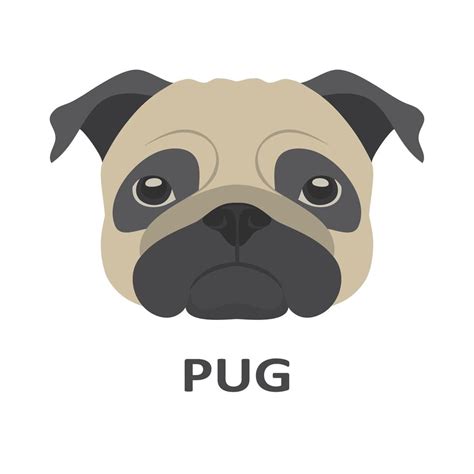 Vector Illustration Of Pug In Flat Style 616566 Vector Art At Vecteezy