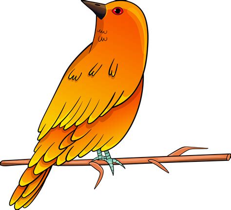 Birds Clipart Design Illustration 9400922 Png