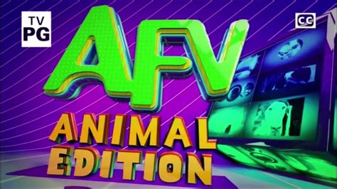 Afv Animal Edition On Disney Xd Youtube
