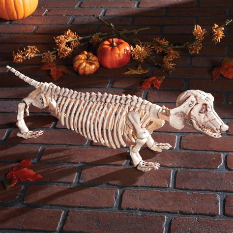 Halloween Posable Skeleton Spooky Scary Haunted House Prop Decoration