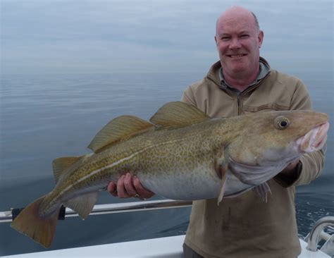 Catch Reports Big Cod