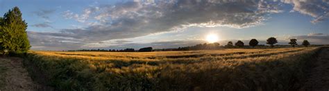 Auf den erntefeldern der magdeburger börde geht die getreideernte ihrem ende entgegen. In der Magdeburger Börde | Hohendodeleben / Germany See ...