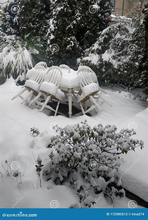 Backyard Covered In Snow After A Winter Storm Stock Image Image Of