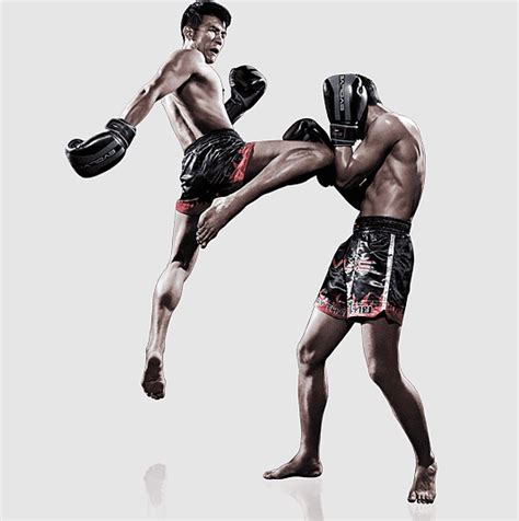 Sanshou Thai People Striking Combat Sports Knockout Muay Thai