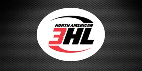Na3hl Celebrates 10 Years Of Growth And Success