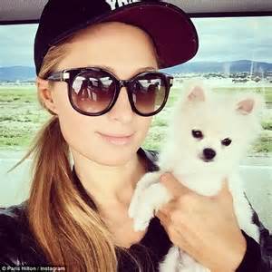 Paris Hilton Takes Her 13k Pooch Prince The Pom For A Ride In A