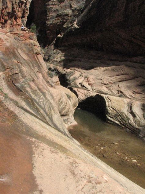 Outindewoods Zion National Park Utah