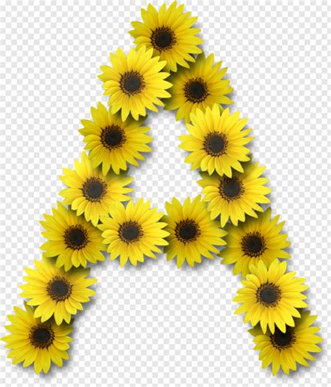 Sunflower Alphabet Letters Png 623x729 26795032 Png Image Pngjoy