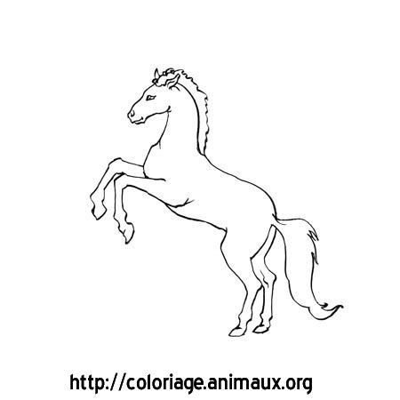 CHEVAL QUI SE CABRE  COLORIAGE CHEVAL QUI SE CABRE sur COLORIAGE