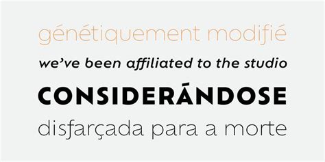 Check Out Theofelia Stdfont At Fontspring Corporate Typography Font