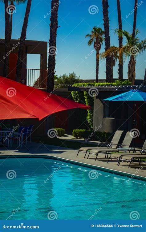 Retro California Motel Pool With Parasols And Palm Trees Stock Photo