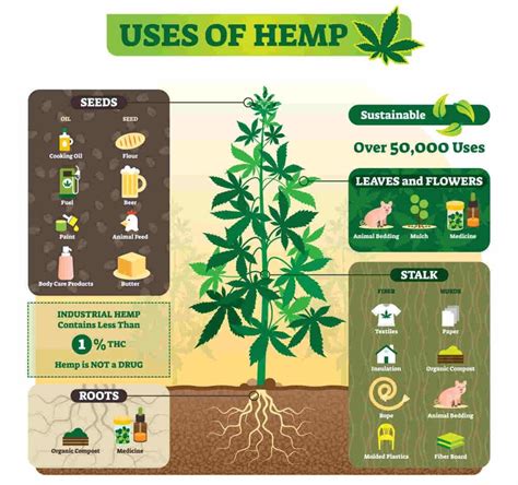 Revealed Top 100 Remarkable Uses Of Hemp