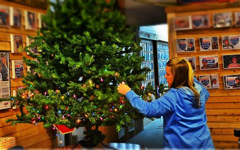 We did not find results for: It's never too early for Christmas decorations ...