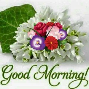 Beautiful good morning flower image free download. 15 Latest Good Morning Beautiful Images - Greetings1