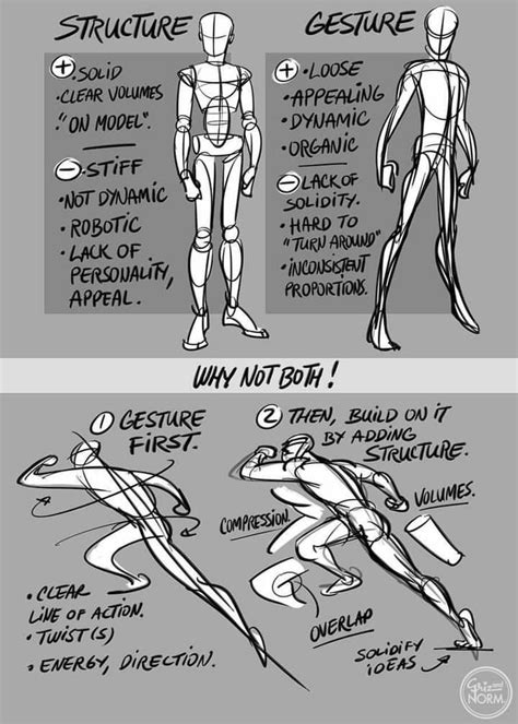 Pin By Patricia Grannum On Art Tutorials Anatomy Reference Comic