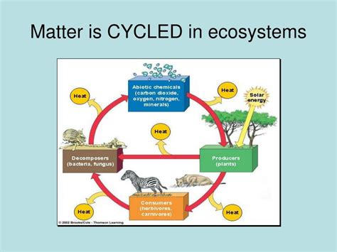 Ppt Cycling Of Matter In Ecosystems Chapter 47 Powerpoint