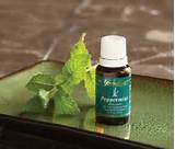 Images of Young Living Peppermint Oil