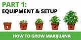 Images of How To Grow One Marijuana Plant Indoors