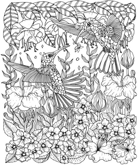 A constantly updated collection of coloring pages and artistic styles. Hummingbirds and flowers coloring page - Birds Adult ...