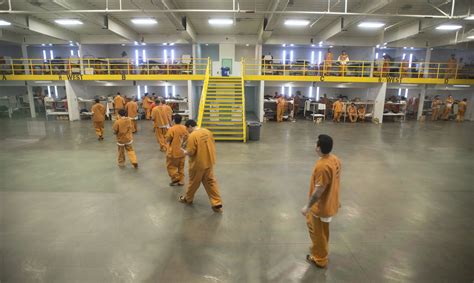 Southern California Jail Inmates Decry Living In Breeding Ground For