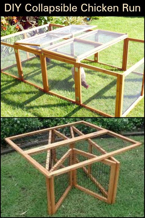 Do You Need A Collapsible Chicken Run In Your Backyard Portable Chicken Coop Urban Chicken