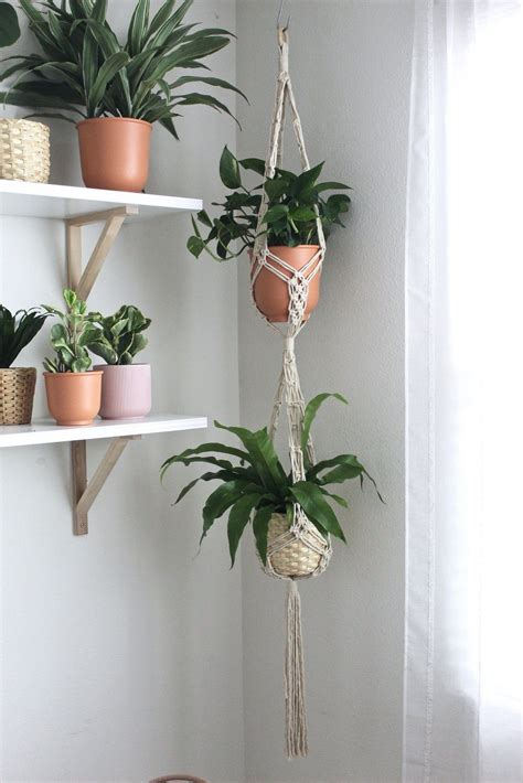 Best Indoor Plant Hanger Stand Unique Hanging Planters Ready Planted