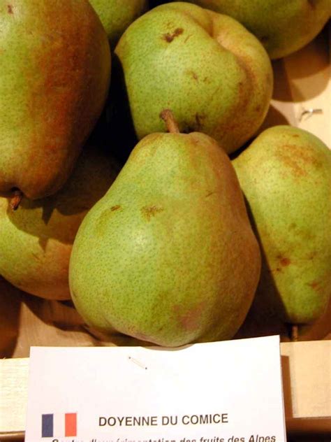 Guide Des Poires Guide Of Pears DoyennÉ Du Comice