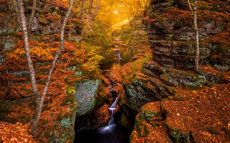 Autumn Forest Rocks Stones Stream Waterfall Timelapse Sunlight Trees Hd