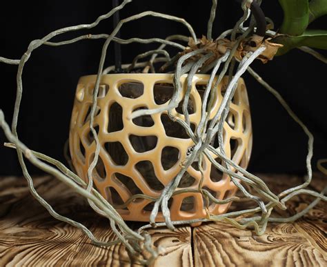 Large Orchid Pot 5 Openwork Ceramic Pot With Holes Fine Etsy