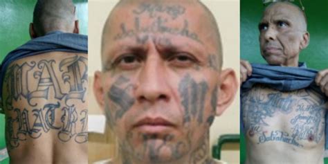 High Ranking Ms 13 Fugitive Arrested On Terrorism Charges Finchannel