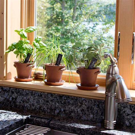 10 Best Herbs Grow In Indoor Pots In Your Kitchen Garden Windowsill