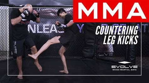 mma countering leg kicks in mixed martial arts youtube