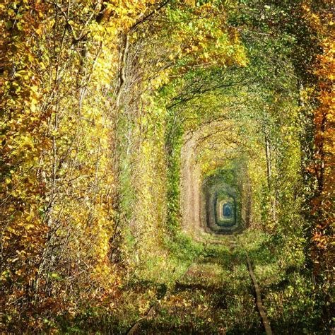 The Green Mile Tunnel Or Tunnel Of Love Near Klevan Riverside