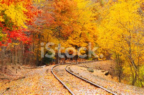 Autumn Railroad Stock Photo Royalty Free Freeimages