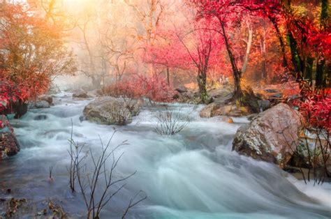 Wild Autumn With Beautiful Rivers And Waterfalls Stock Photo Image Of