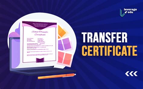 Transfer Certificate How To Write Samples Format Leverage Edu