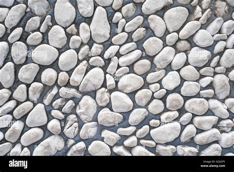 White Pebble Stone Cemented Floor Texture Background Stock Photo Alamy