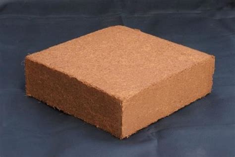 Square High Ec Cocopeat Block Packaging Type Individual Packaging Size 5kg At Rs 100piece