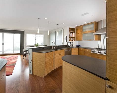 Frosted glass kitchen door design Frosted Glass Cabinet Doors | Houzz